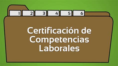 Todo Sobre El Certificado Aptitud Laboral Certificados Info
