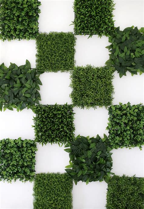 Diy Greenery Wall The Merrythought