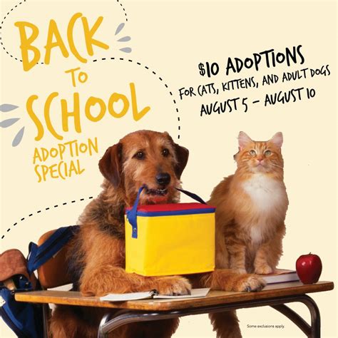 Where can i see more adoptable cats? Back-to-School Pet Adoption Special - City of Huntsville