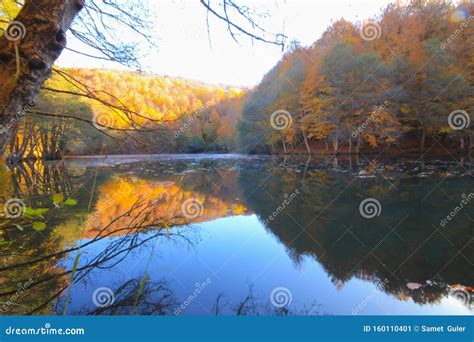 Autumn Landscape In Seven Lakes Yedigoller Park Bolu Turkey Stock