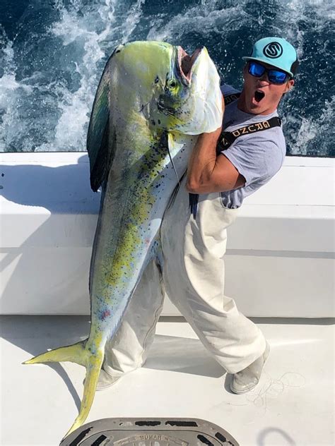 Big Mahi Mahi Caught Near State Record Lady Pamela Home Lady