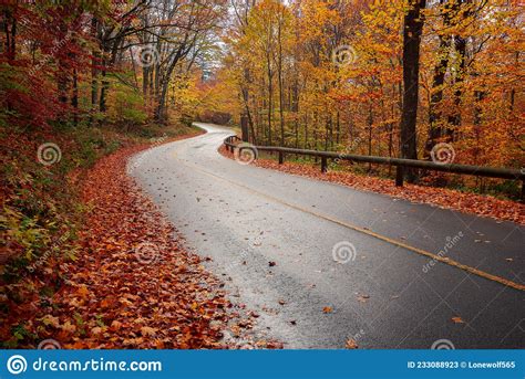 Fall Road With In Autumn Foliage Through Forest With Leaves On Ground