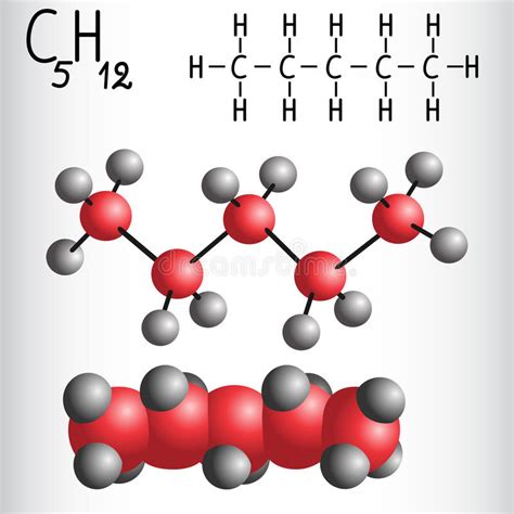Modell Der Chemischen Formel Und Des Moleküls Des Pentans C5h12 Vektor