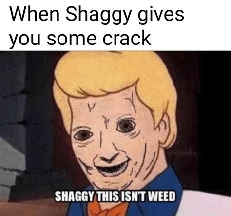 I Heard The Shaggy Memes Are Back Scooby Doo Memes Messed Up Memes