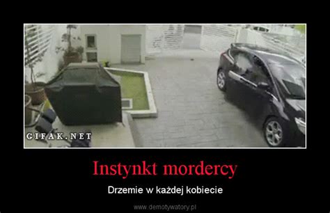Instynkt Mordercy Demotywatory Pl