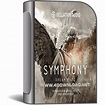 Bellatrix Audio - Symphony (Spire) » 4MIRRORLINK