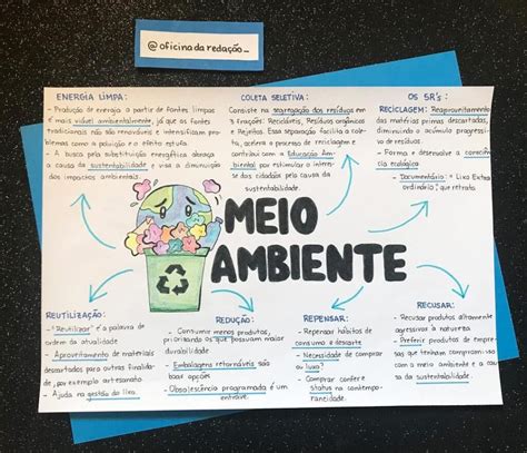 MAPA MENTAL MEIO AMBIENTE STUDY MAPS