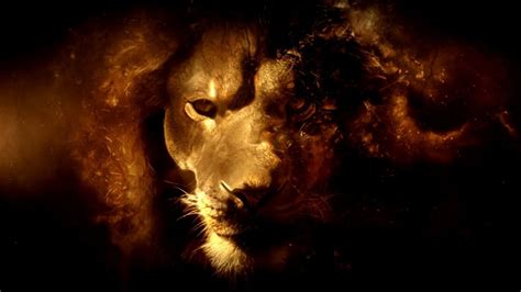 Lion Of The Tribe Of Judah Wallpapers Wallpaper Cave