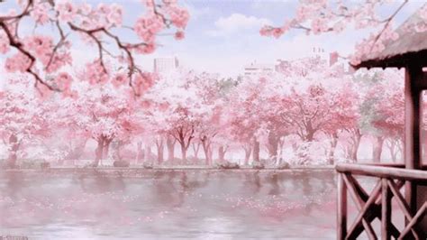 Aesthetic Cherry Blossom Wallpaper ~ Aesthetic Wallpapers Hd
