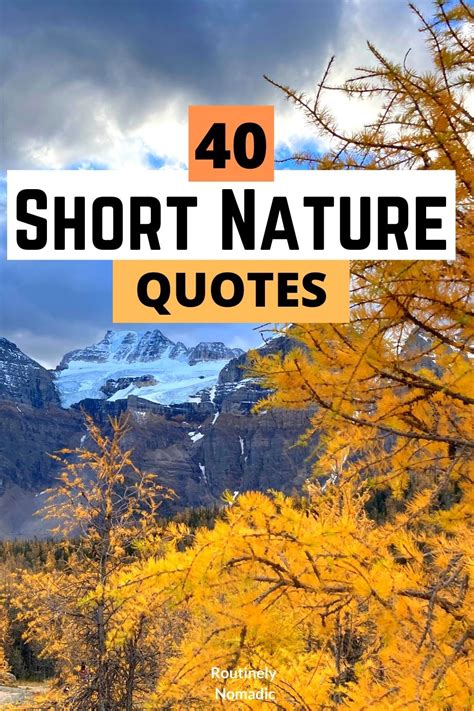 53 Short Nature Quotes Best Inspirational Thoughts On Nature