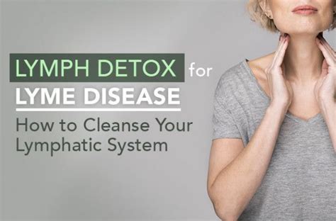 Lymph Detox For Lyme Disease How To Cleanse Your Lymphatic System In