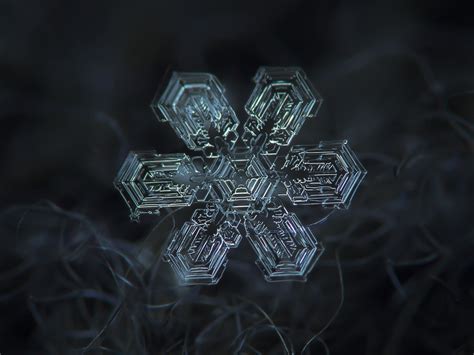 Magnified Snowflakes Alexey Kljatov3 Flores Sem Cores