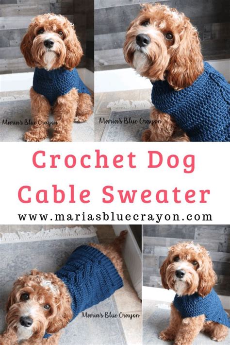 How To Crochet A Dog Cable Sweater Marias Blue Crayon Dog Sweater