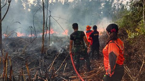 Bnpb Catat Sudah Ada Bencana Kebakaran Hutan Dan Lahan Di Tanah Air
