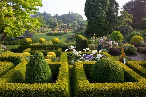 Choose any variety of thyme, pinks, creeping germander, dwarf myrtle, and lamb's ears. How to Build a Knot Garden (40 Photo Designs)