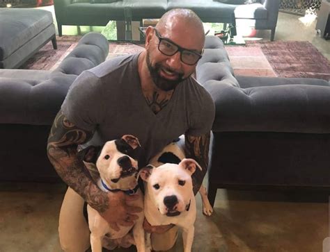 Actor And Former Wwe Star Dave Bautista Adopts Two Pitbulls From Tampa