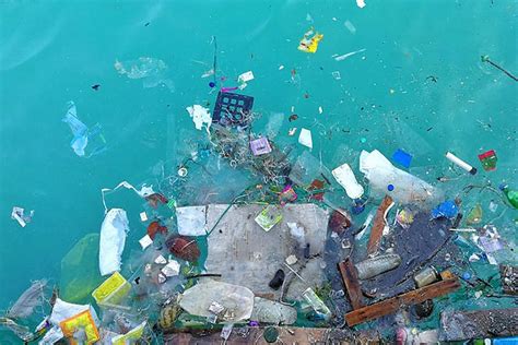 Microplastic Pollution Is Everywhere But Scientists Are Still Learning