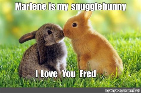 Meme Marlene Is My Snuggle Bunny I Love You Fred All Templates