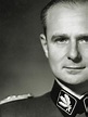 Read What To Make Of Ss General Karl Wolf? Online