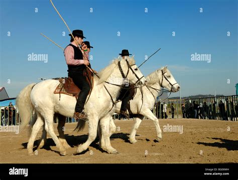 Camargue Horse Riders Known As Guardians Or Provencal Cowboys Stock