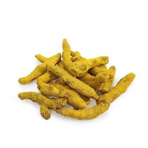 Salem Dried Turmeric Finger For Spices At Rs Kg In Indore Id