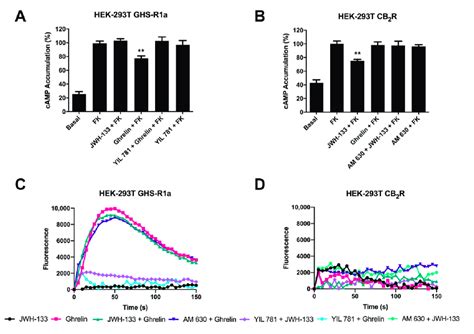 Functional Characterization Of Ghs1a And Cb2 Receptors Expressed In