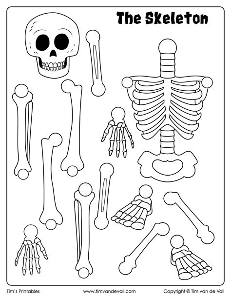 Skeleton Cut And Paste Tims Printables