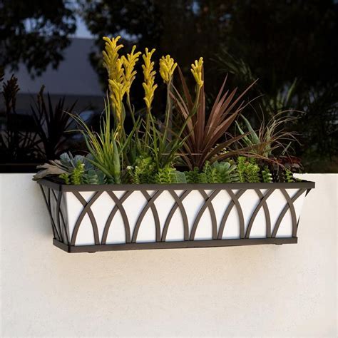 Arch Tapered Window Box Iron Cage