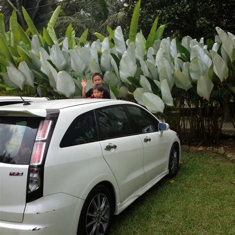 Yg saya ingat owner dia a french lady, ada chalet buluh. Mummy Zizou & Zara: Cuti hujung minggu di D'Ark Resort ...