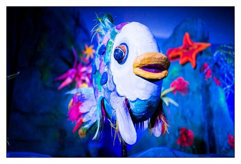Der regenbogenfisch ist wie meine schwester eva luna. "Der Regenbogenfisch" zu Gast bei TIM - Vorstellung am 08 ...