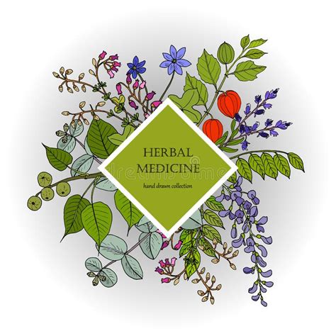Health Natural Care Vintage Collection Of Hand Drawn Medicinal Herbs