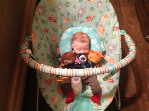 Pin By Barbara Stovall On Reborn Babys And Other Dolls Bassinet