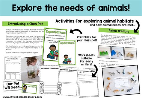 Living Things Animals Plants And Their Needs Little