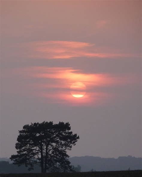 Stunning Sunrise On A Misty Autumn Morning In The New Forest Photo By
