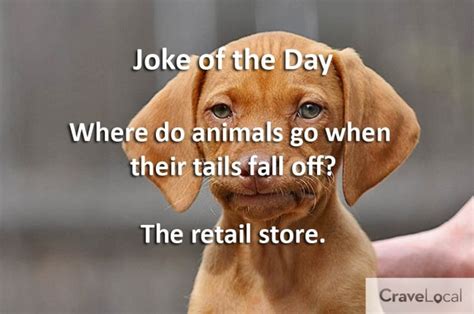 10 Guaranteed Funny Clean Jokes That Will Make You Laugh Jokes Clean