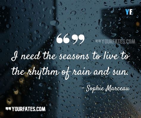 78 Rain Quotes That Will Wash Away Stress Yourfates