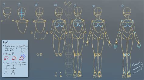Female And Male Manga Proportion Guide By Yubi Yubi On Deviantart Body Drawing Crying Girl
