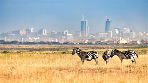 Nairobi National Park At The Outskirts Of Kenyas Capital City