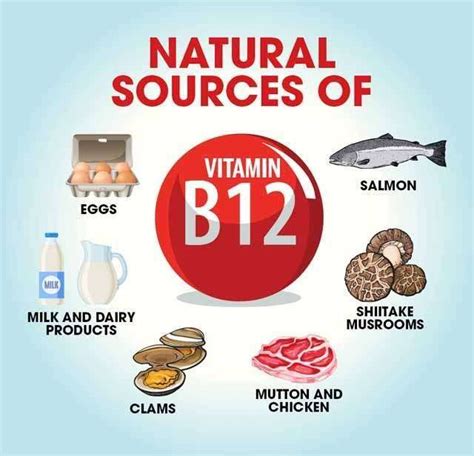 All of these are present in almost an equal amount so that thus, we have mentioned some of the best vitamin b supplements in india above in this article, along with their characteristics in detail. 10 Top Vitamin B12 Rich Foods & Their Benefits | Femina.in
