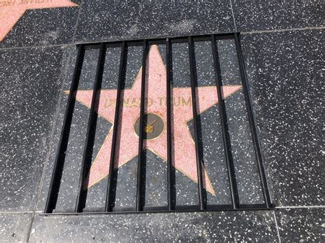Donald J Trump Hollywood Star Location