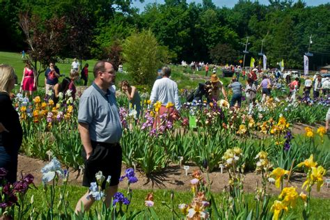 Presby Memorial Iris Gardens Visit The Rainbow On The Hill