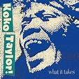Koko Taylor - What It Takes The Chess Years (Expanded Edition) (1977 ...