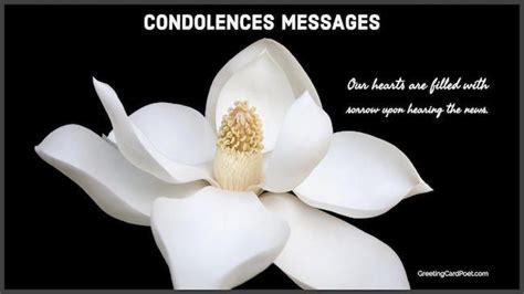 Check out the pronunciation, synonyms and grammar. Condolence Messages and Sincere Sympathy Sayings for Loss ...