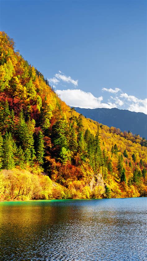 Pictures Jiuzhaigou Park China Nature Autumn Mountains 1080x1920