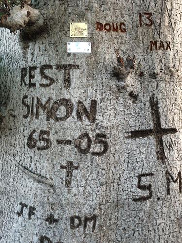 They Found Simons Tree