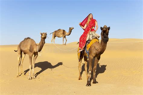 Mujer Que Sostiene Un Camello En El Desierto Foto De Archivo Imagen