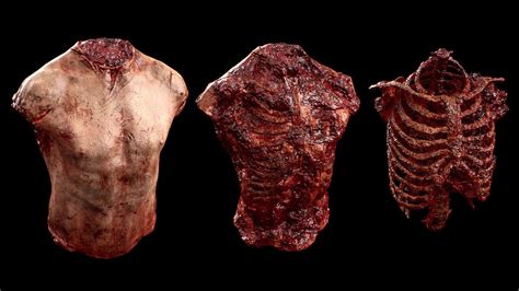 Artstation Gore And Horror Props Vol1 Game Assets Dystopia Gore