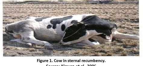 Figure 2 From An Overview On Milk Fever In Dairy Cattle In And