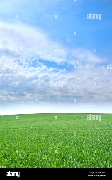 Green Fields And Blue Skies Green Fields And Blue Sky In Spring And