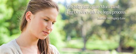 Surrogacy And Egg Donation Attorneys Masler Surrogacy Law